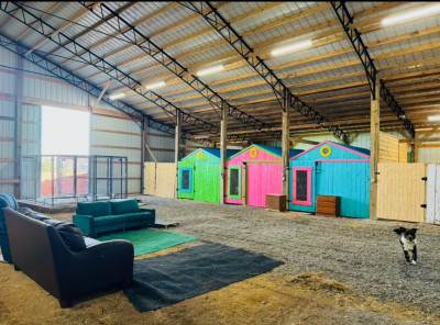 Better Days Dog Rescue - Animal Shelter and Rescue in Wartrace, Tennessee