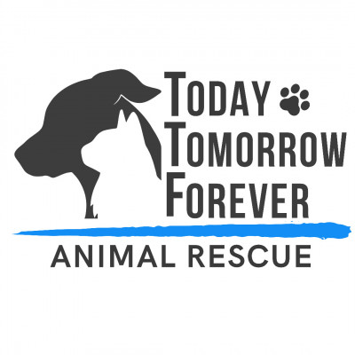 Today Tomorrow Forever Animal Rescue - Animal Shelter and Rescue in Elfin Forest, California