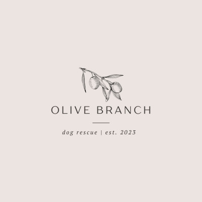 Olive Branch Rescue - Animal Shelter and Rescue in Tampa, Florida