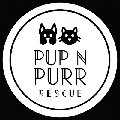 Pup N Purr Rescue - Animal Shelter and Rescue in Asheville, North Carolina