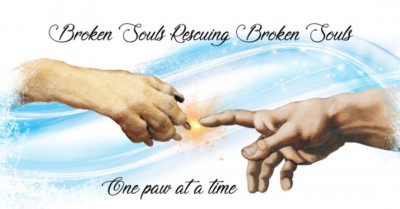 Broken Souls Rescue And Recovery, Inc. - Animal Shelter and Rescue
