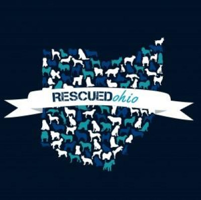 RescuedOhio - Pet Shelter and Rescue in New Albany, Ohio