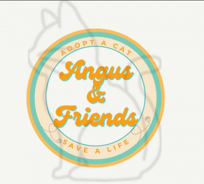 Angus & Friends Cat Rescue - Animal Shelter and Rescue in Castro Valley, California