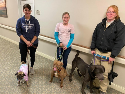 SWKS K9 Pawsibilities - Animal Shelter and Rescue in Dodge City, Kansas