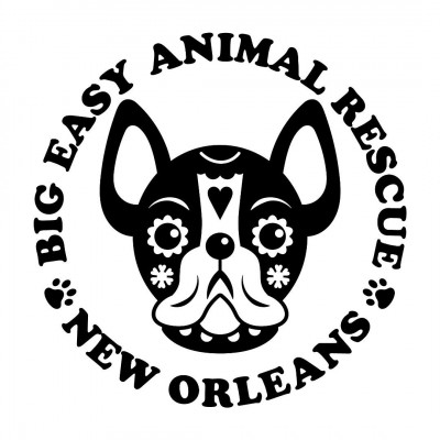 Big Easy Animal Rescue - Animal Shelter and Rescue in New Orleans, Louisiana