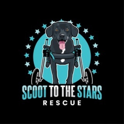Scoot To The Stars Rescue - Animal Shelter and Rescue in Sparks, Nevada