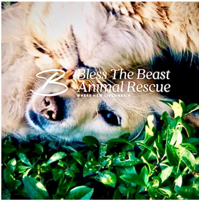 Bless The Beast Animal Rescue - Animal Shelter and Rescue in Corona, California
