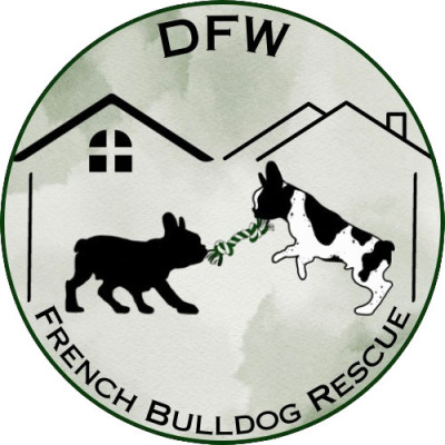 DFW French Bulldog Rescue - Animal Shelter and Rescue in Garland, Texas