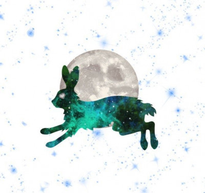 Flufflepuff Rabbit Rescue - Animal Shelter and Rescue in Wichita, Kansas