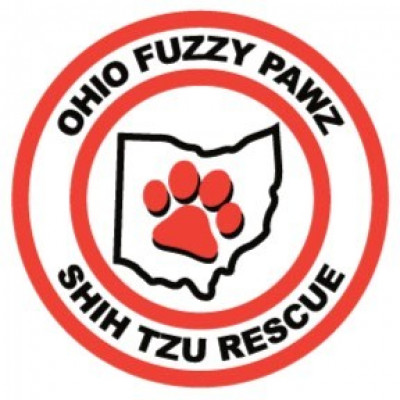 Ohio Fuzzy Pawz Shih Tzu Rescue - Pet Shelter and Rescue in Pataskala, Ohio