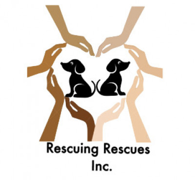 Rescuing Rescues - Animal Shelter and Rescue in Smyrna, Georgia