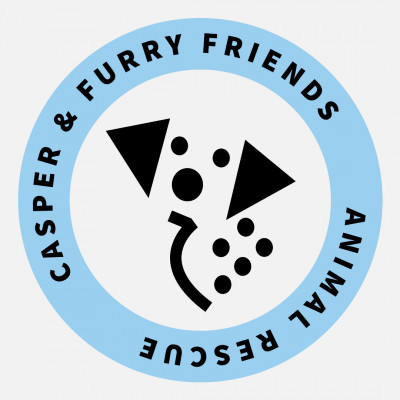 Casper And Furry Friends Animal Rescue - Animal Shelter and Rescue in South Houston, Texas