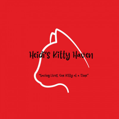 Heidi’s Kitty Haven - Animal Shelter and Rescue in Cardinal, Ontario