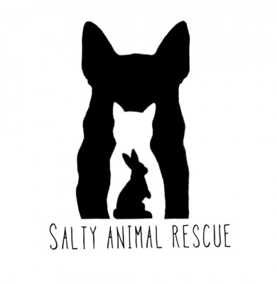 Salty Animal Rescue - Animal Shelter and Rescue in Brantford, Ontario