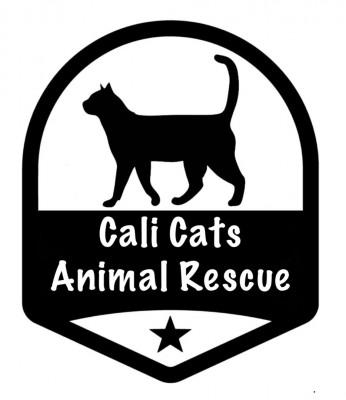 Cali Cats Animal Rescue - Animal Shelter and Rescue in Fresno, California