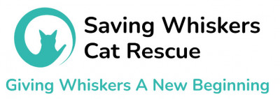Saving Whiskers Cat Rescue - Animal Shelter and Rescue in Evansdale, Iowa