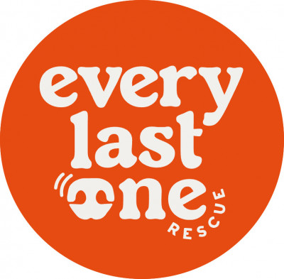 Every Last One Rescue, Inc. - Animal Shelter and Rescue in New York, New York