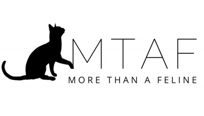 More Than A Feline Cat Rescue - Animal Shelter and Rescue in Ottawa, Ontario
