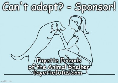 Fayette County Alabama Animal Shelter - Animal Shelter and Rescue in Fayette, Alabama