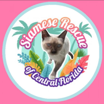 Siamese Rescue Of Central Florida, Inc. - Animal Shelter and Rescue in Citra, Florida