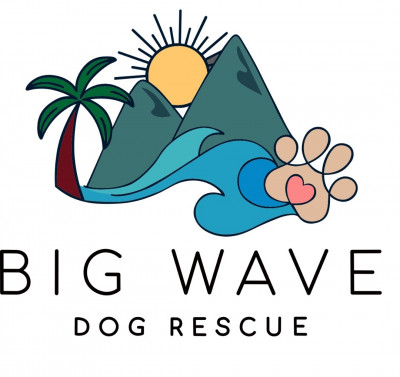 Big Wave Dog Rescue - Animal Shelter and Rescue in Billerica, Massachusetts
