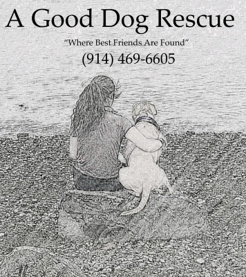 A Good Dog Rescue - Animal Shelter and Rescue in Ossining, New York