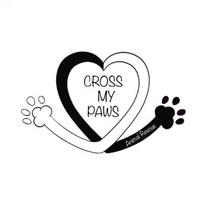 Cross My Paws Animal Rescue - Animal Shelter and Rescue in Albuquerque, New Mexico