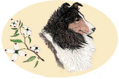 Sheltie Rescue Of Georgia Inc. - Animal Shelter and Rescue in Locust Grove, Georgia