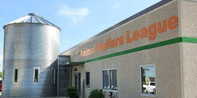 Animal Welfare League Of Kosciusko County - Animal Shelter and Rescue in Pierceton, Indiana