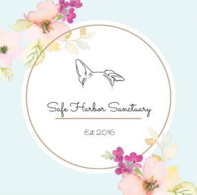 Safe Harbor Sanctuary - Animal Shelter and Rescue in Brooks, Maine