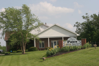 Paws Animal Shelter - Pet Shelter and Rescue in Urbana, Ohio