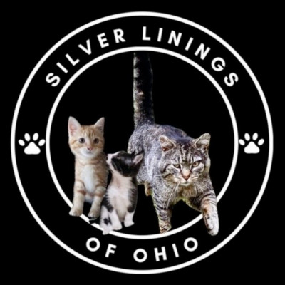 Silver Lining Services - Pet Shelter and Rescue in Quincy, Ohio