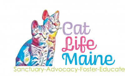 Cat Life Maine, Inc. - Animal Shelter and Rescue in Bangor, Maine