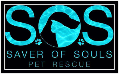 Saver Of Souls Pet Rescue - Animal Shelter and Rescue in Virginia Beach, Virginia