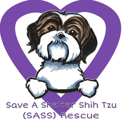 Save A Shelter Shih Tzu (S.A.S.S.) Rescue - Pet Shelter and Rescue in Springfield, Ohio