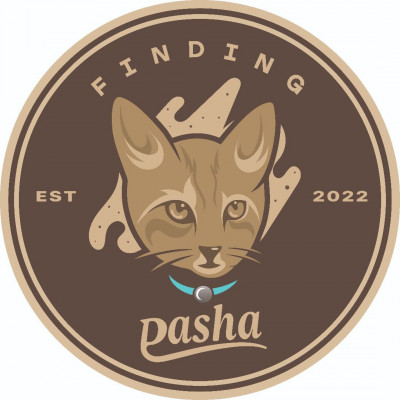 Finding Pasha - Animal Shelter and Rescue in Quail Heights, Florida