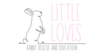 Little Loves Rabbit Rescue And Education - Animal Shelter and Rescue in North Little Rock, Arkansas