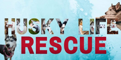 Husky Life Rescue - Animal Shelter and Rescue in Lakeland, Florida