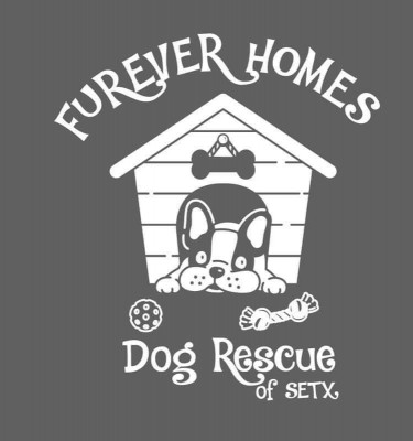 Furever Homes Dog Rescue Of SETX - Animal Shelter and Rescue in Lumberton, Texas
