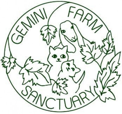 Gemini Farm Sanctuary - Animal Shelter and Rescue in Rome, Pennsylvania