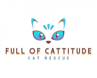 Full Of Cattitude, Inc. - Animal Shelter and Rescue in Ruskin, Florida