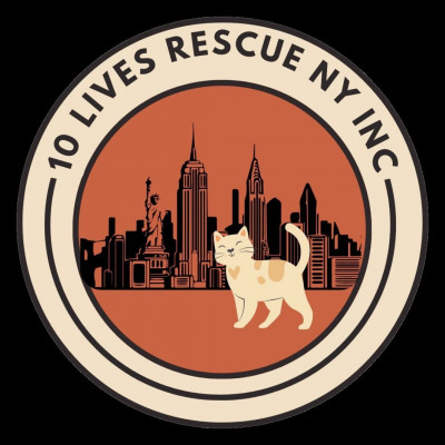 10 Lives Rescue NY - Animal Shelter and Rescue in New York, New York