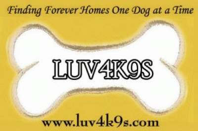 Luv4K9s - Pet Shelter and Rescue