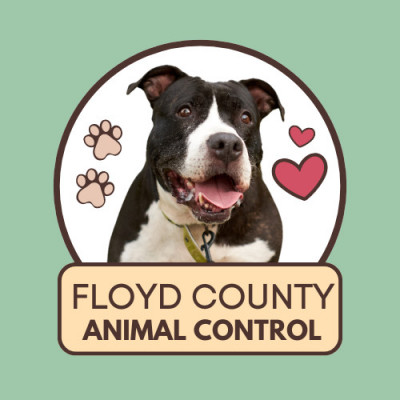 Floyd County Animal Control - Animal Shelter and Rescue in Floyd, Virginia