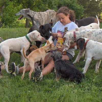 Every K-9 Counts - Pet Shelter and Rescue in Clayton, Ohio