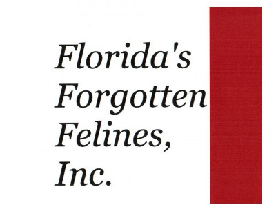 Floridas Forgotten Felines, Inc. - Animal Shelter and Rescue in Lantana, Florida