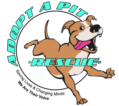 Adopt A Pit Rescue - Pet Shelter and Rescue in Germantown, Ohio