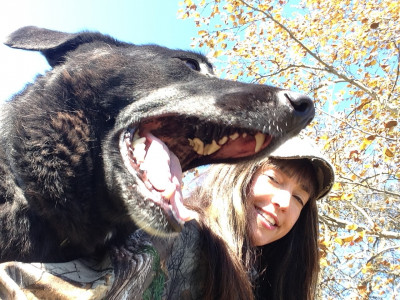 Operation Warm & Cozy - Pet Shelter and Rescue in New Philadelphia, Ohio