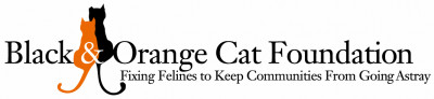 Black And Orange Cat Foundation - Pet Shelter and Rescue in Plain City, Ohio