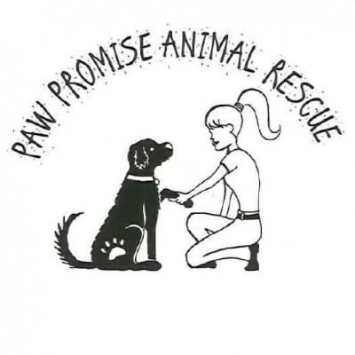 Paw Promise Animal Rescue, Inc. - Animal Shelter and Rescue in Goodyear, Arizona